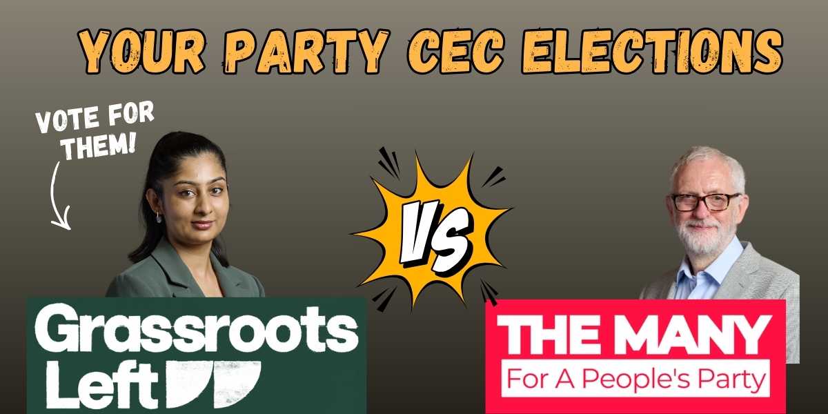 Support the Grassroots Left in Your Party CEC elections!