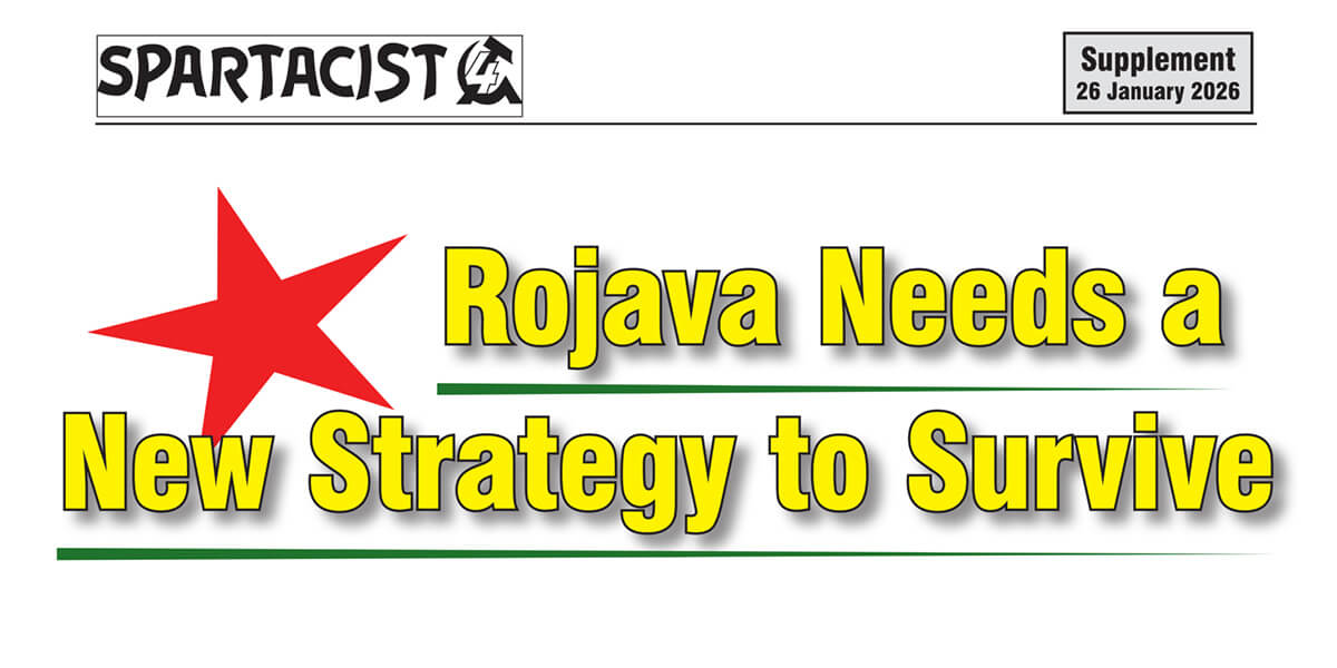 Rojava Needs a New Strategy to Survive