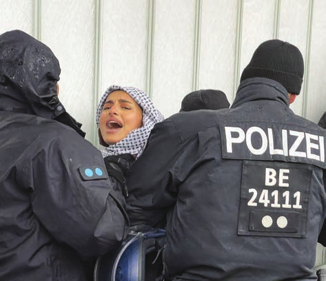 Pro-Palestinian activist attacked