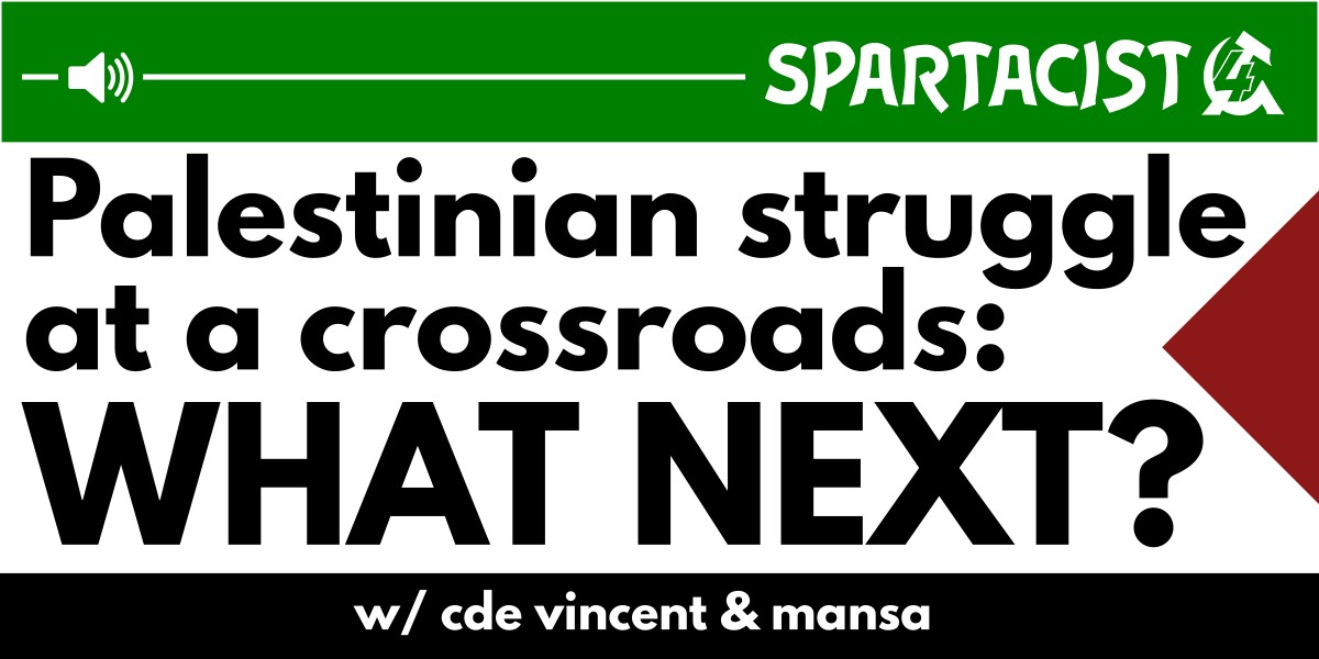 Palestinian struggle at a crossroads: What next?