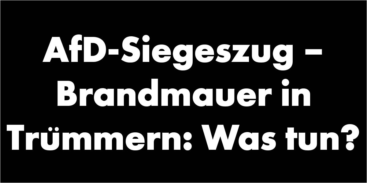 AfD-Siegeszug – Brandmauer in Trümmern: Was tun?