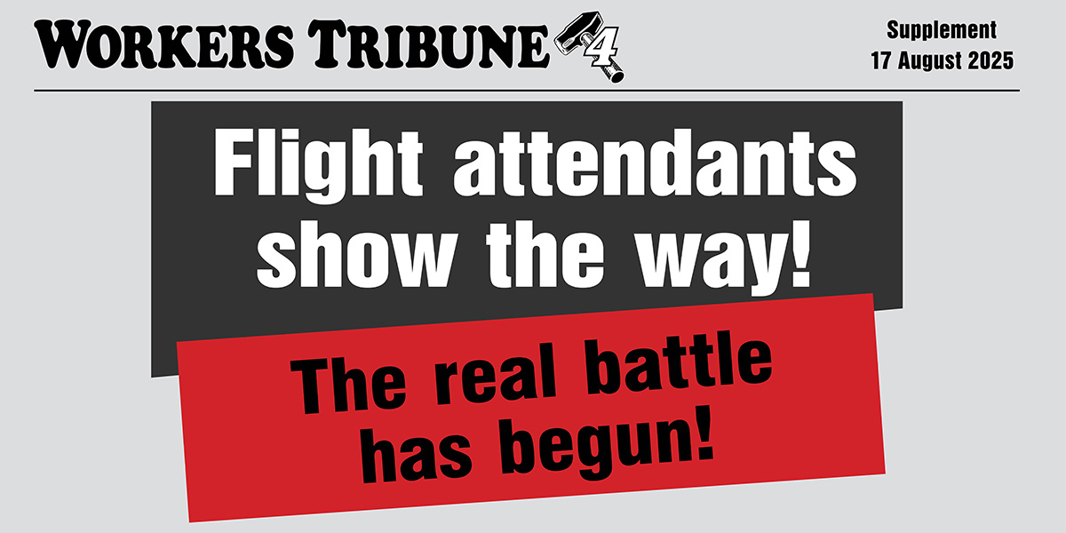 Flight attendants show the way! The real battle has begun!