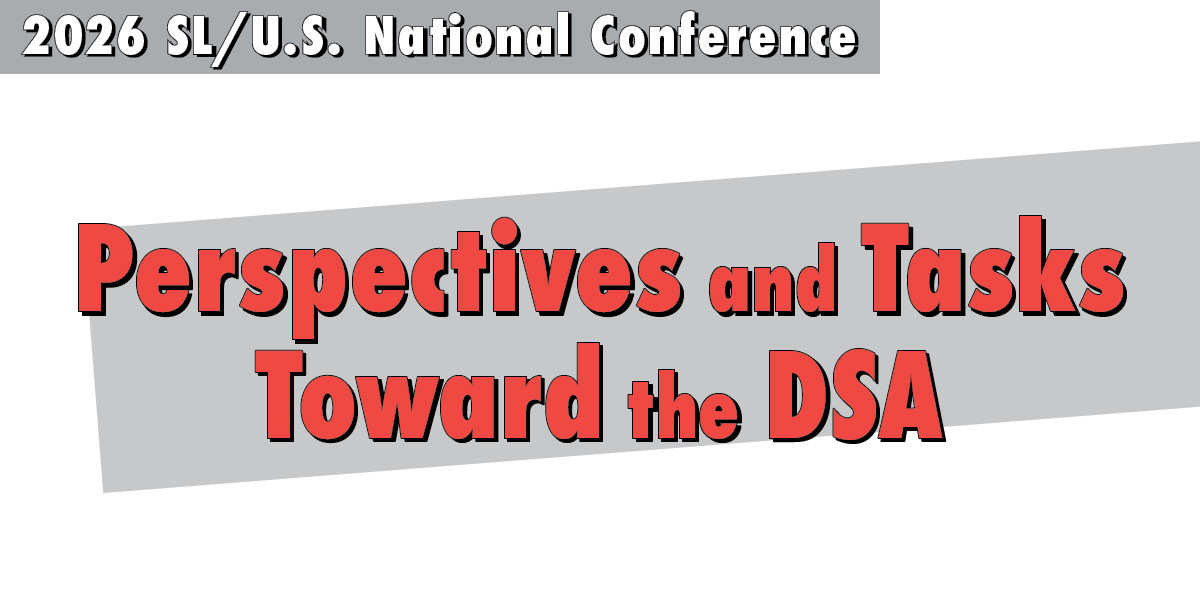 Perspectives and Tasks Toward the DSA